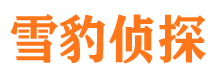 平顺市场调查